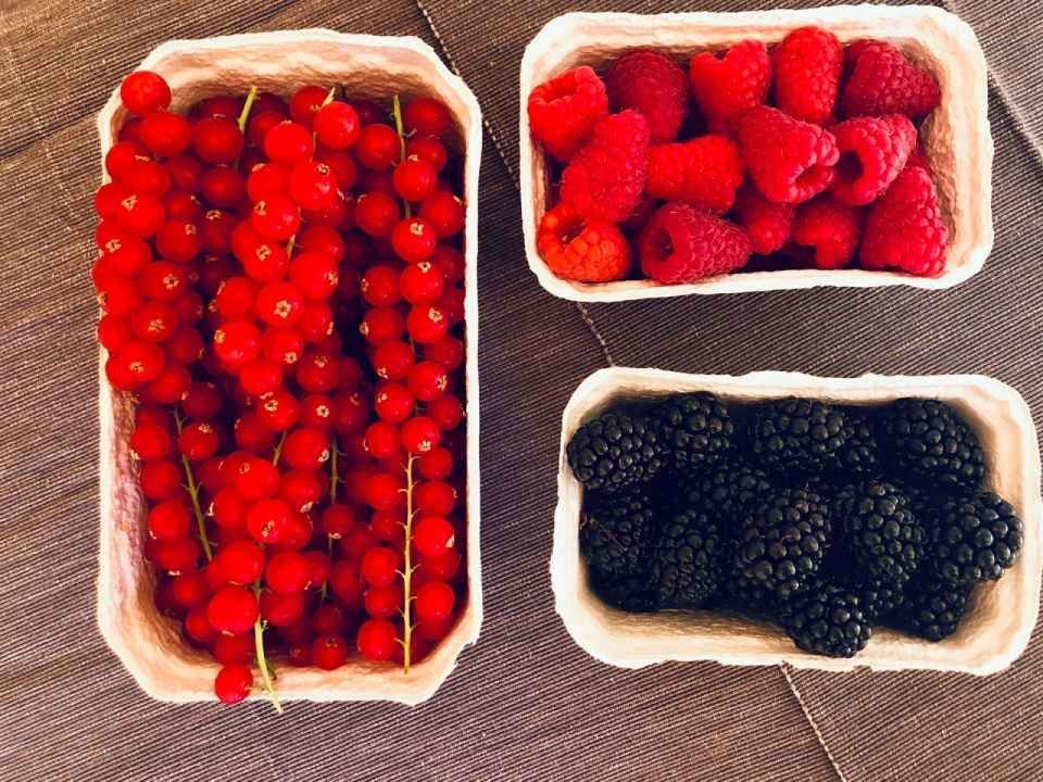 Je eine Schale mit roten Johannisbeeren, Himbeeren und Brombeeren