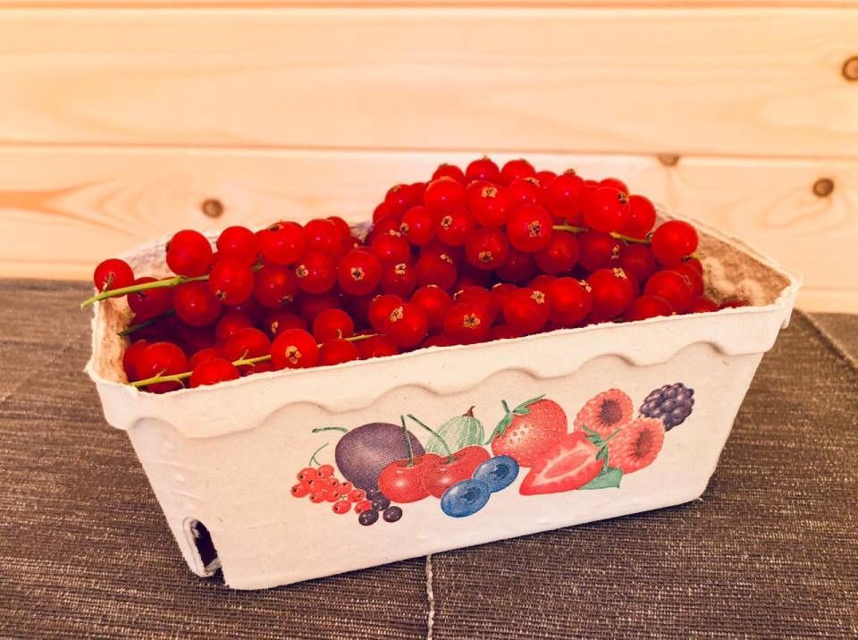 Schale mit roten Johannisbeeren