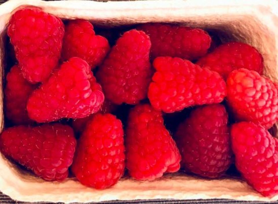 Schale mit Himbeeren