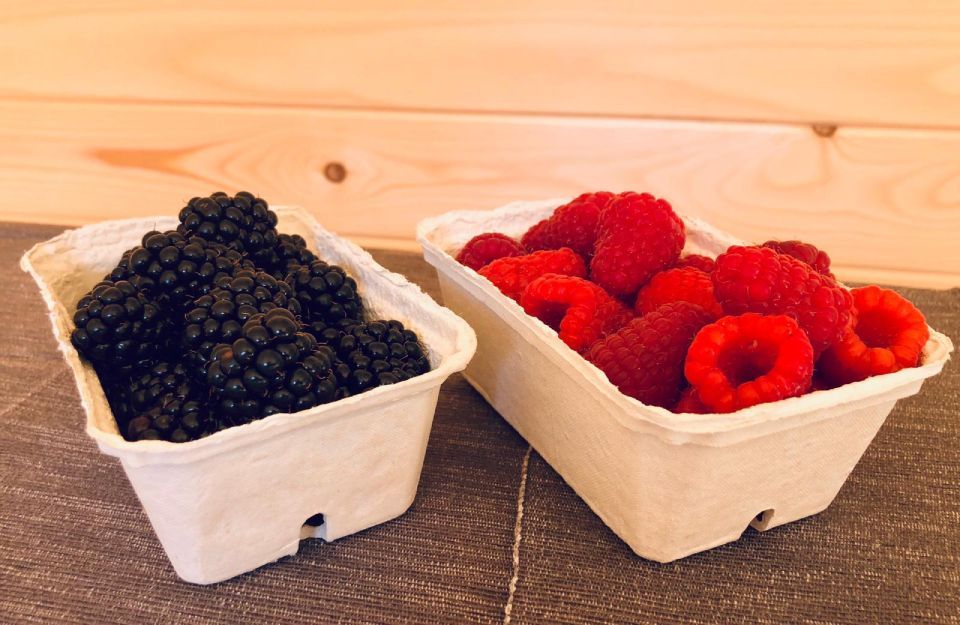 je eine Schale mit Brombeeren und Johannisbeeren