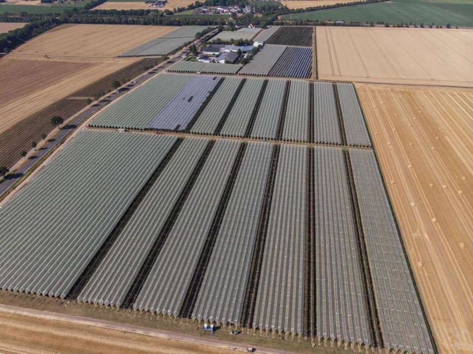 Obstplantagen von Obstbauer Blum