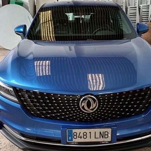 Un automóvil azul con matrícula que dice 8481 lnb está estacionado en un garaje.