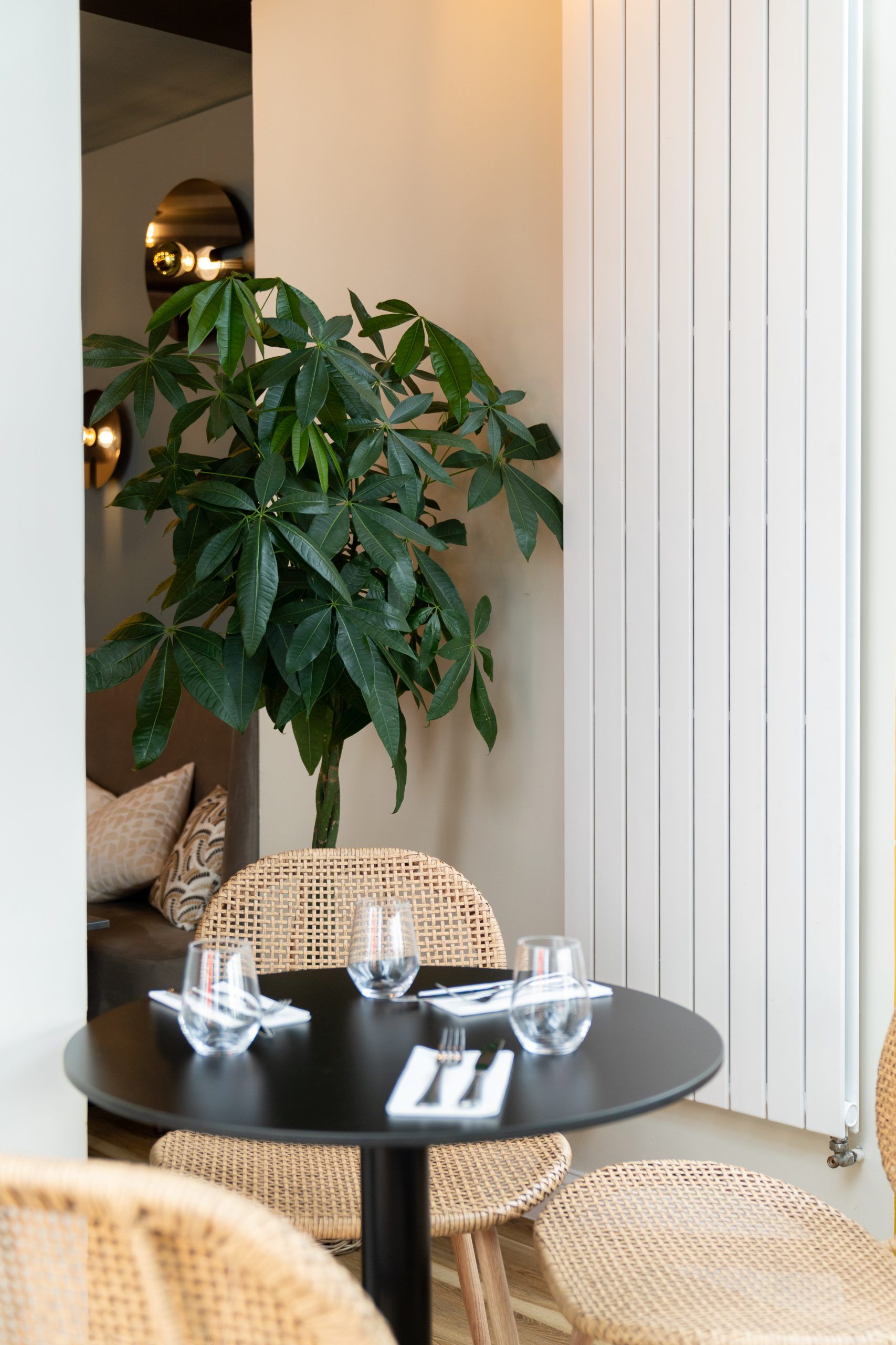 Plante dans un coin du restaurant