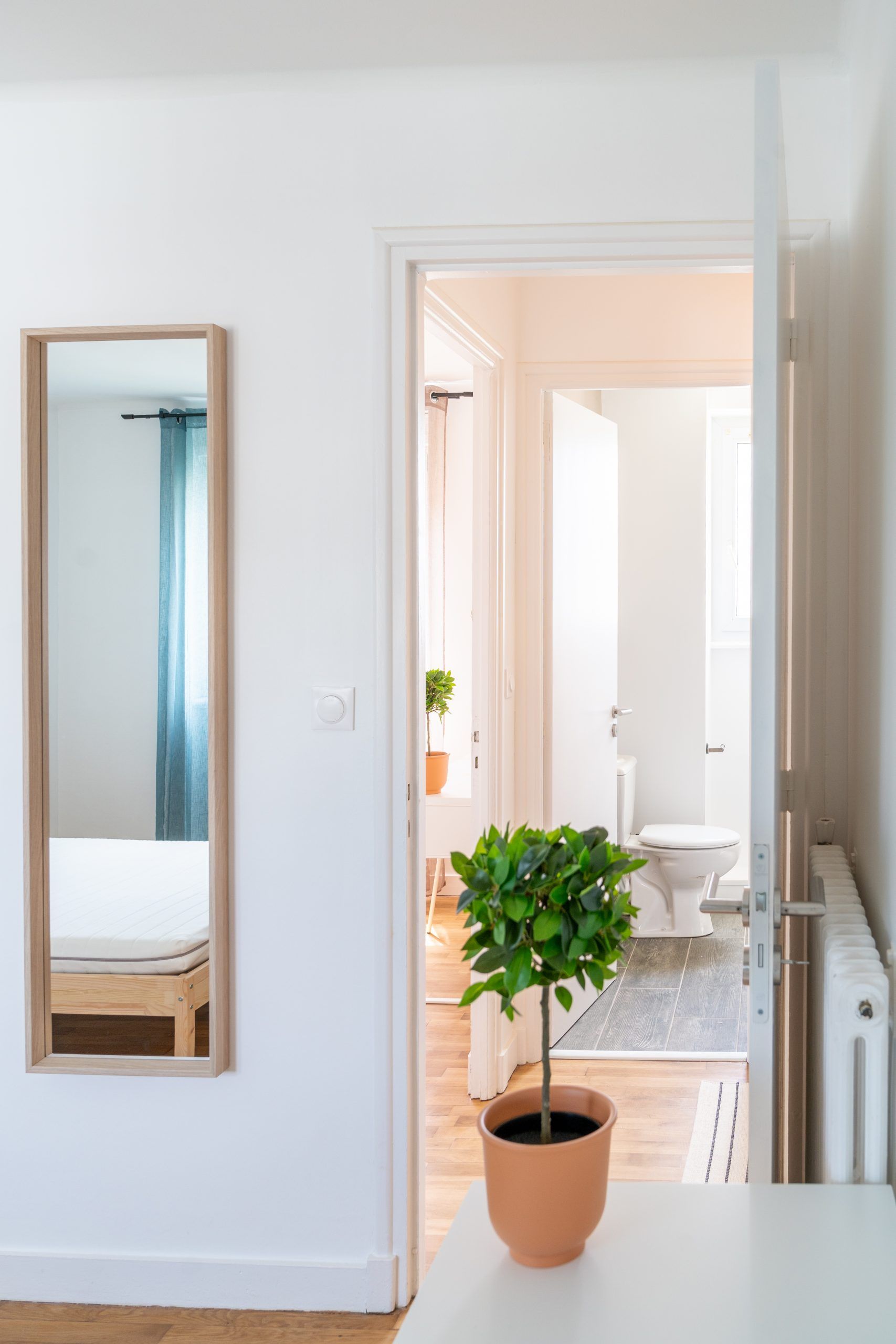 Couloir avec miroir et plante verte