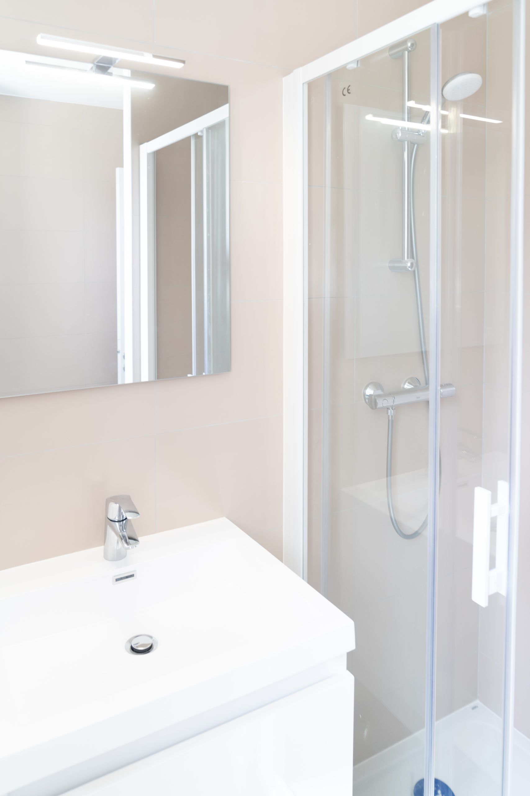 Salle de bains avec vasque et douche