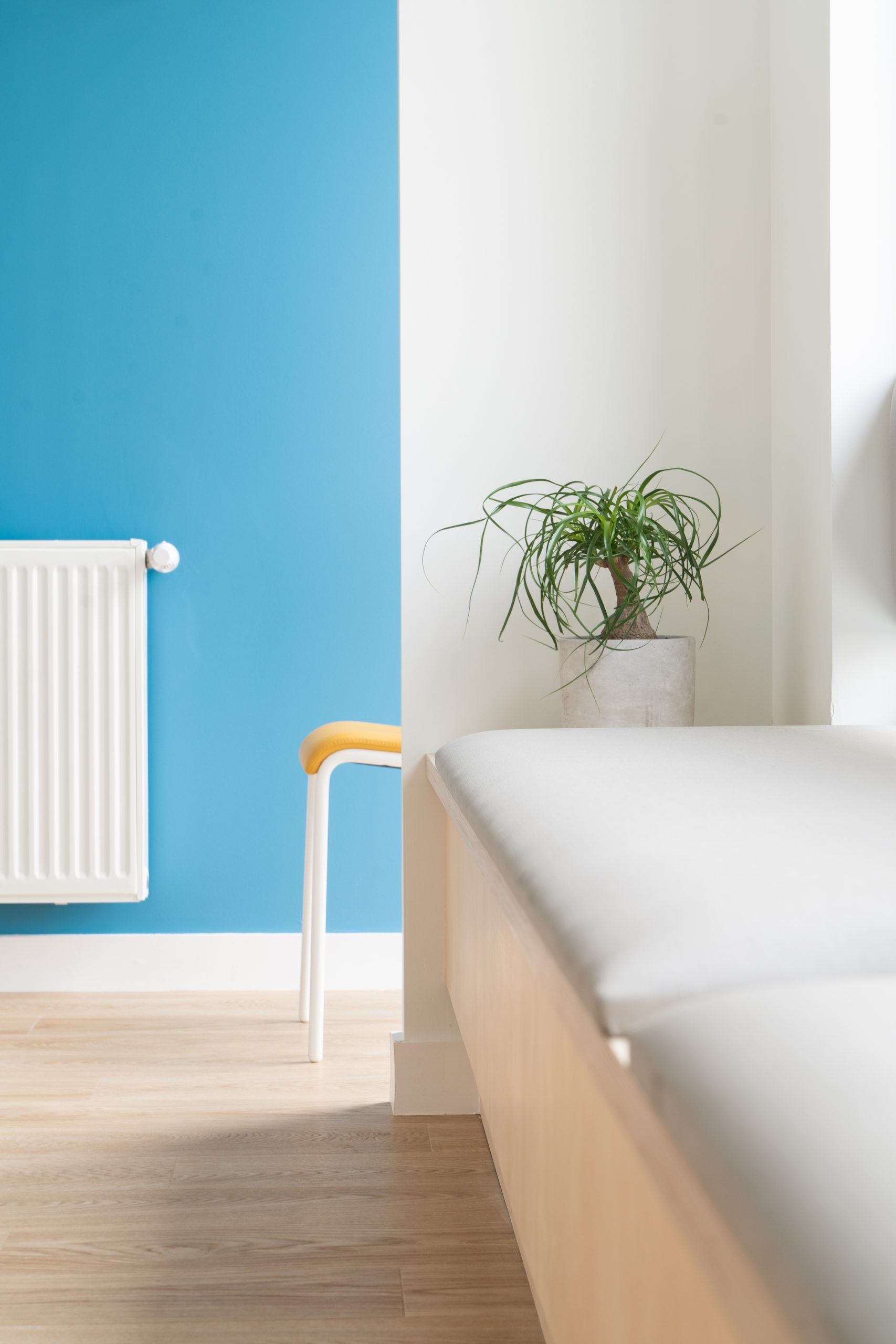 Salle d'attente du cabinet de pédiatrie 2