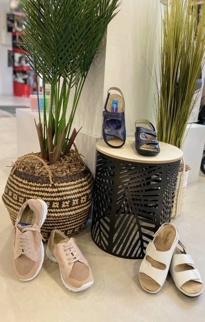 Plusieurs chaussures exposées.
