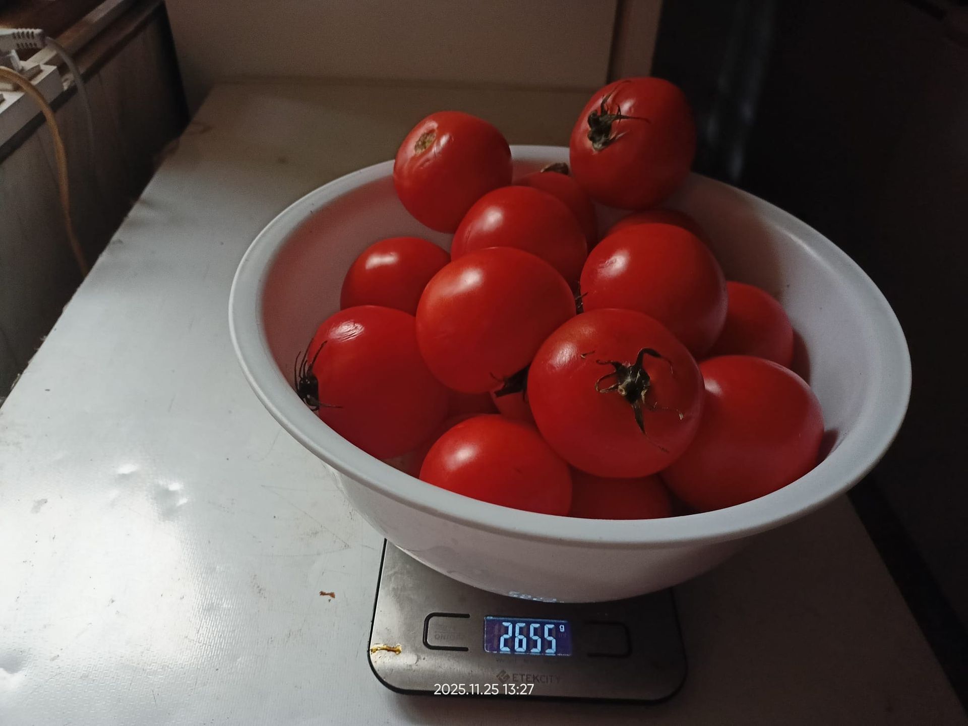 Tomates en un recipiente blanco sobre una báscula, peso 2655.