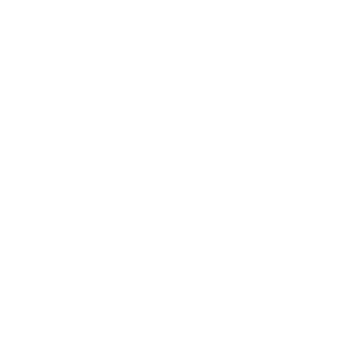 Icon Schlüssel