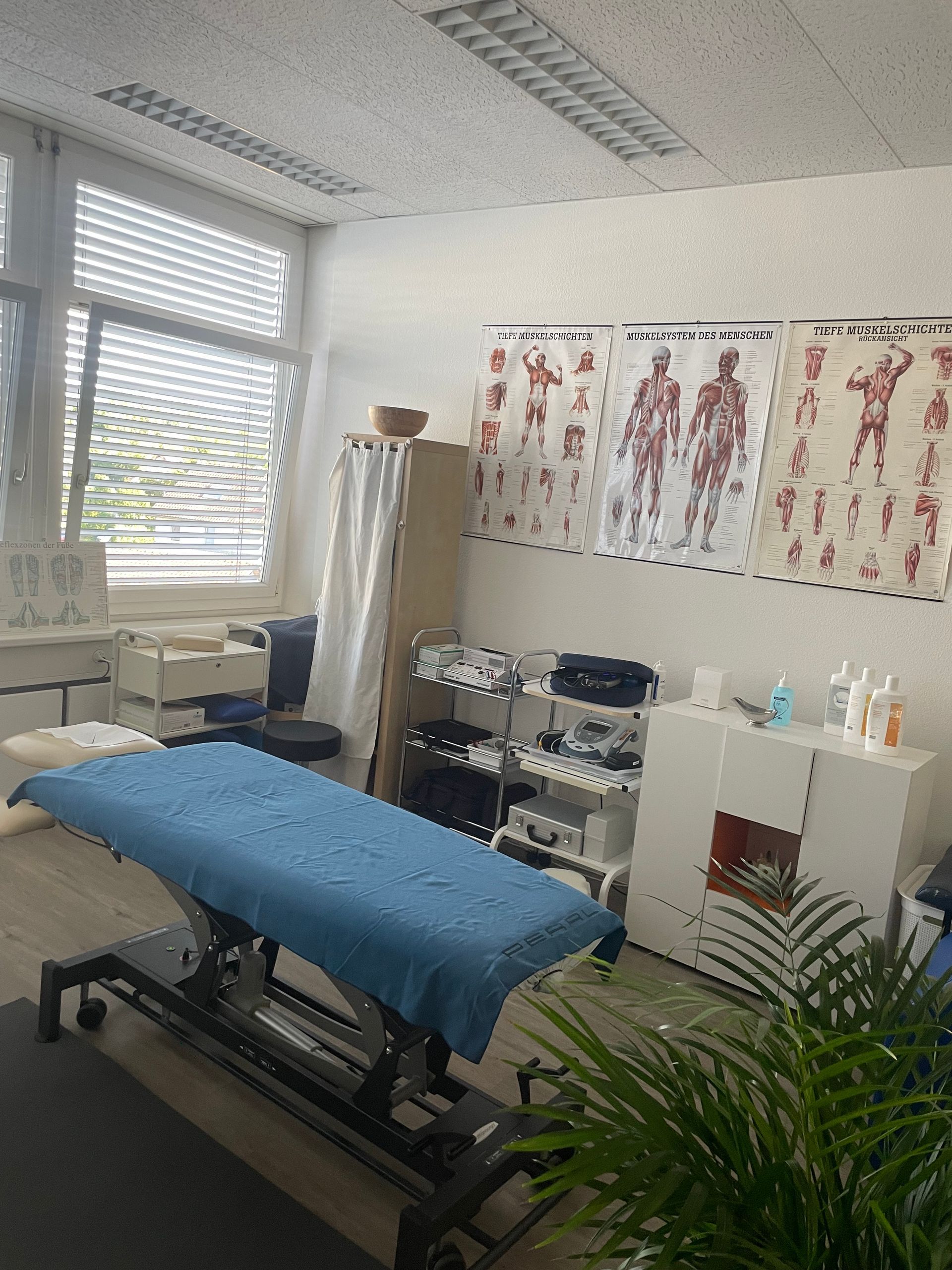 KOMPLEMENTÄRMEDIZIN / PHYSIKALISCHE THERAPIE DALLA MONTA VIOLETTA