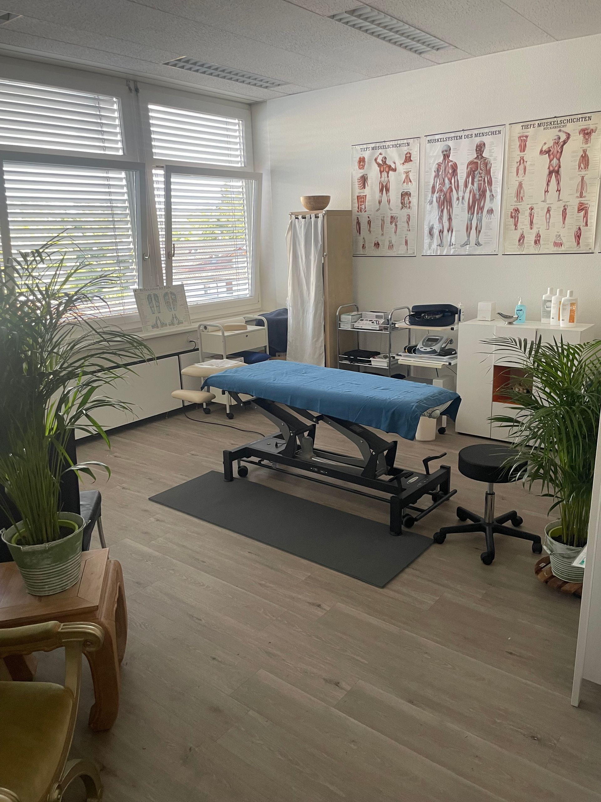KOMPLEMENTÄRMEDIZIN / PHYSIKALISCHE THERAPIE DALLA MONTA VIOLETTA