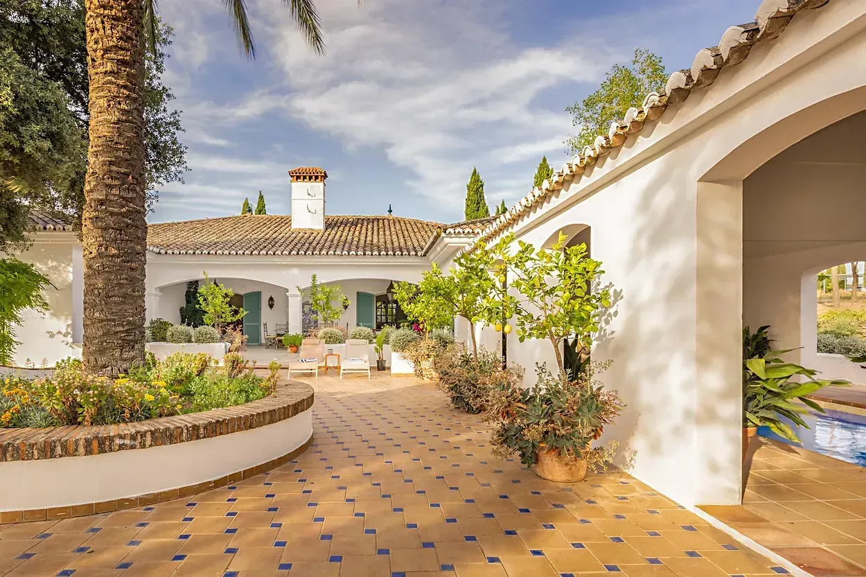 Una casa blanca con una palmera delante de ella.