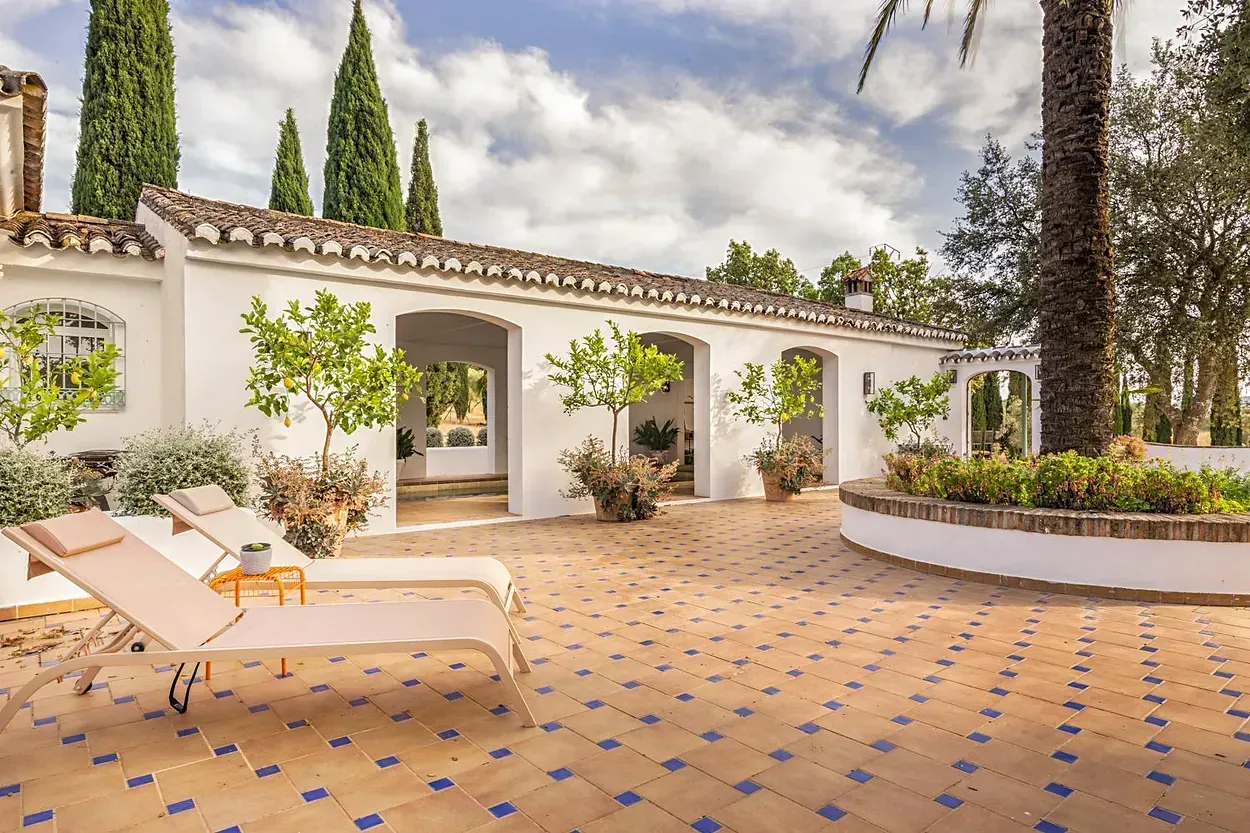 Un patio con sillas de jardín y una palmera frente a un edificio blanco.