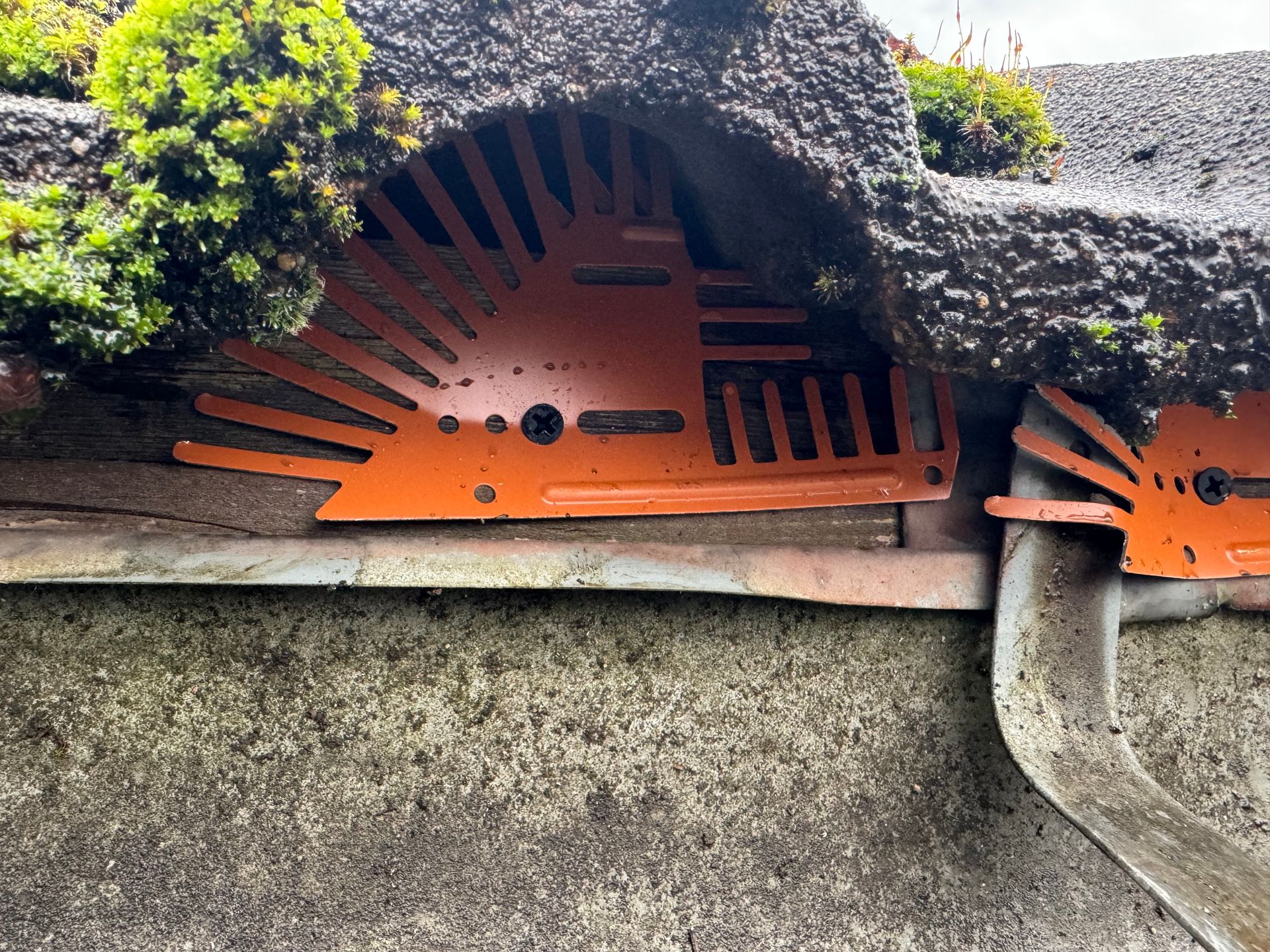 Détail de toiture avec un dispositif anti pigeons en métal sous les tuiles.