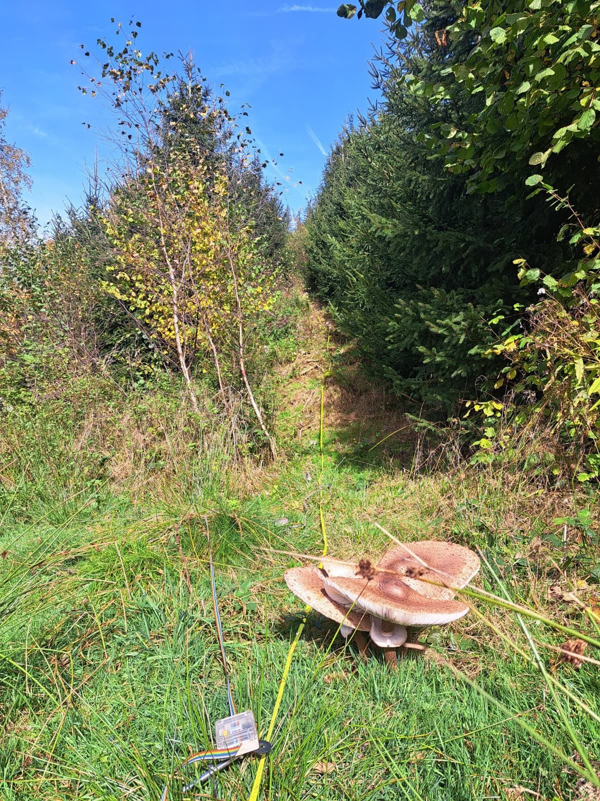 Profil électrique dans une zone naturelle.