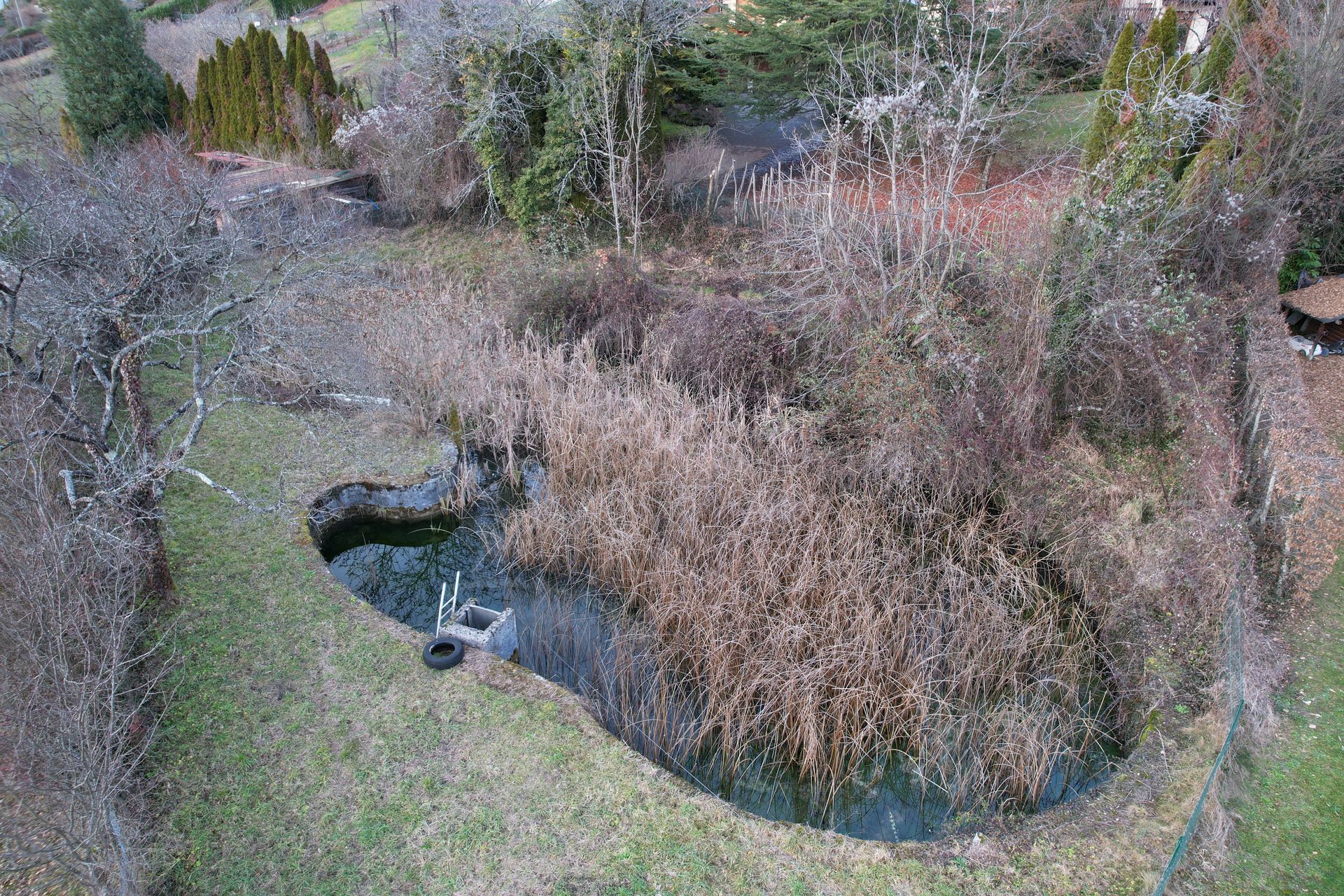 Vue aérienne d'un petit étang envahi par la végétation, bordé d'herbes et d'arbustes, avec des roseaux recouvrant une partie de l'eau.