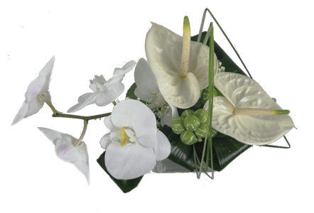 Centre table orchidées