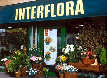 Bailly-Durand Fleurs à Villefranche-sur-Saône, dans le Rhône, partenaire d'Interflora et Florajet