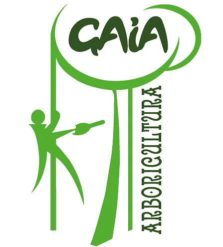 Logotipo verde: Arboricultura GAIA, figura estilizada trepando a un árbol.