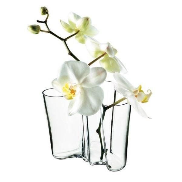 Anmutig drapierte Orchidee in hochwertige Vase aus Glas.