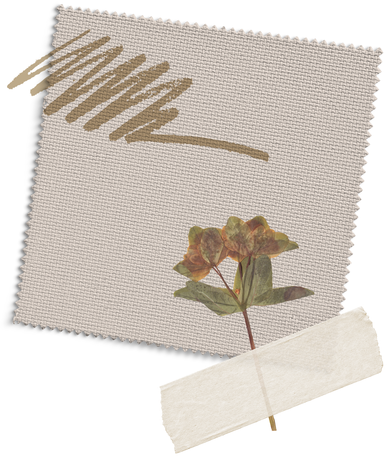 Morceau de tissu et fleur séchée