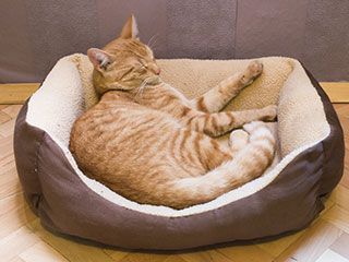 Textilservice und Berufskleidung Heinz Holst GmbH Piel Extras 01