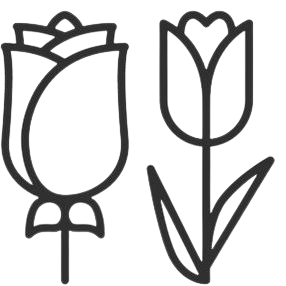 Un dibujo en blanco y negro de dos tulipanes con hojas.