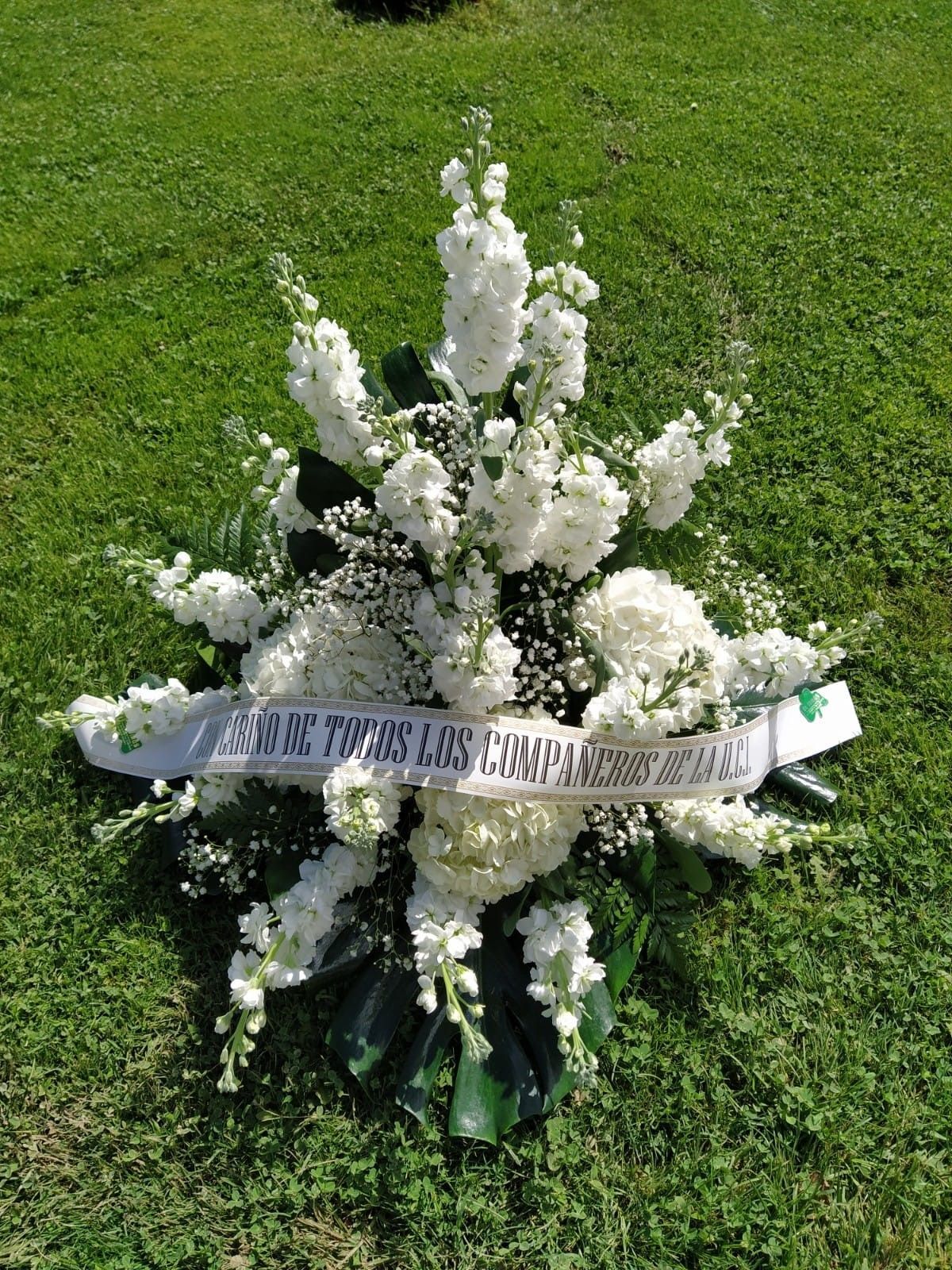 Un ramo de flores blancas se encuentra sobre un exuberante campo verde.