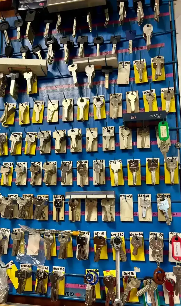 Cucarachas arrastrándose sobre migas y baldosas en el piso cerca de una pared.