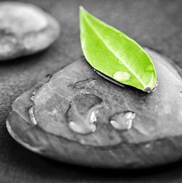 Offres de dernière minute - Atlas & Bien-être