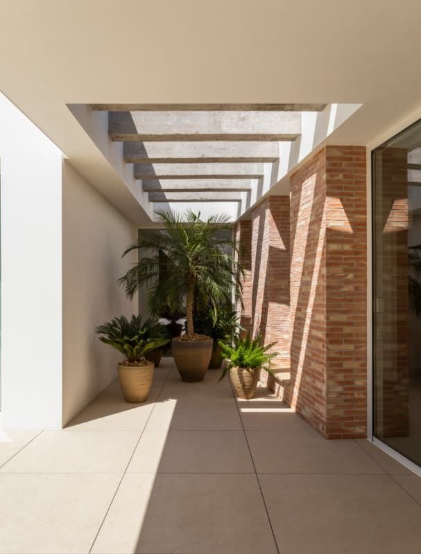 Un pasillo con plantas en macetas y una pared de ladrillos.