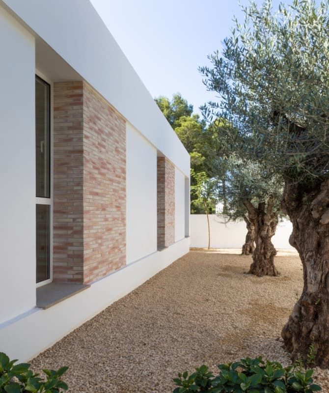 Un edificio blanco con una pared de ladrillos y un árbol delante.