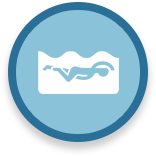 Icon Eltern-Kind- und Babyschwimmen