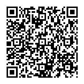 Schwarz-weißer QR-Code, zentriert auf weißem Hintergrund