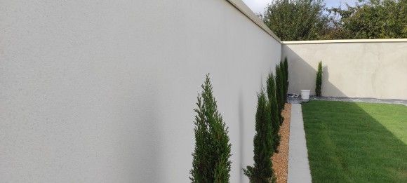 Hohe, grüne Zypressen säumen eine beige Mauer neben grünem Rasen in einer Aussenanlage.