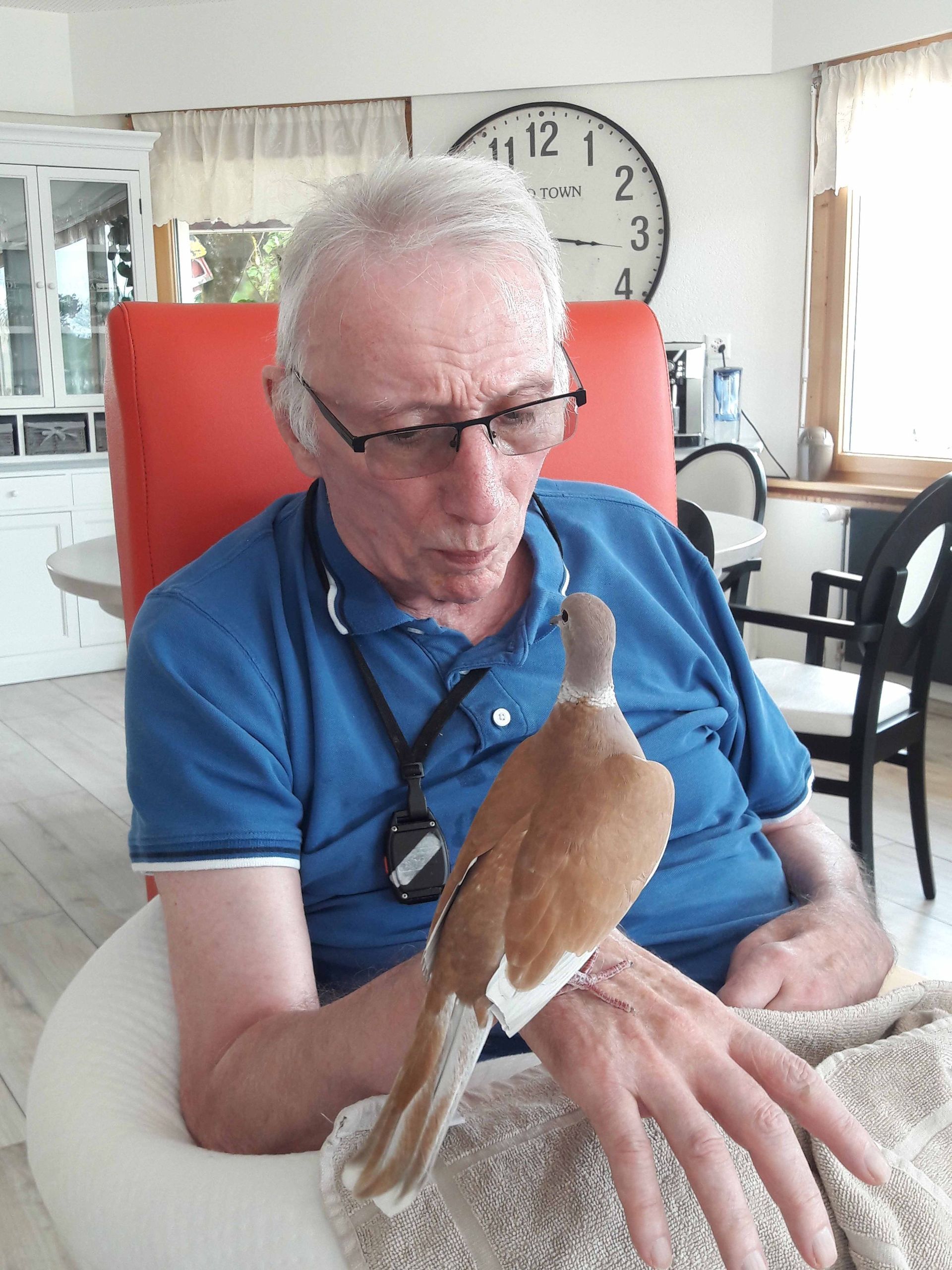 Fondation du Home des Bayards | Les Bayards