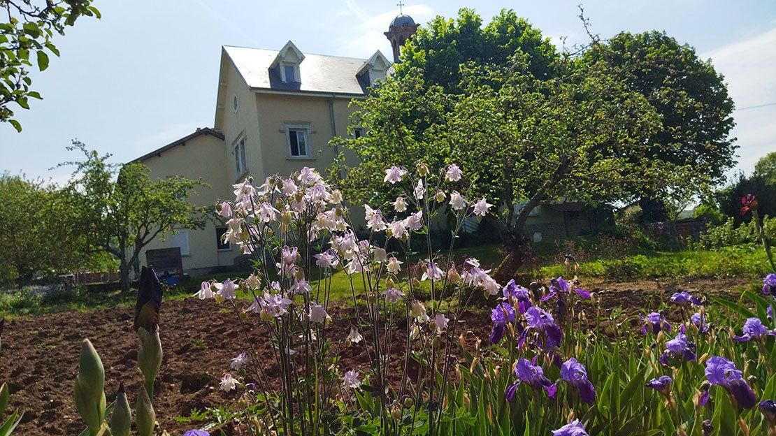 Focus sur des fleurs violettes devant le Emmaüs de Sainte-Sabine