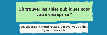 Où trouver les aides publiques pour votre entreprise ?