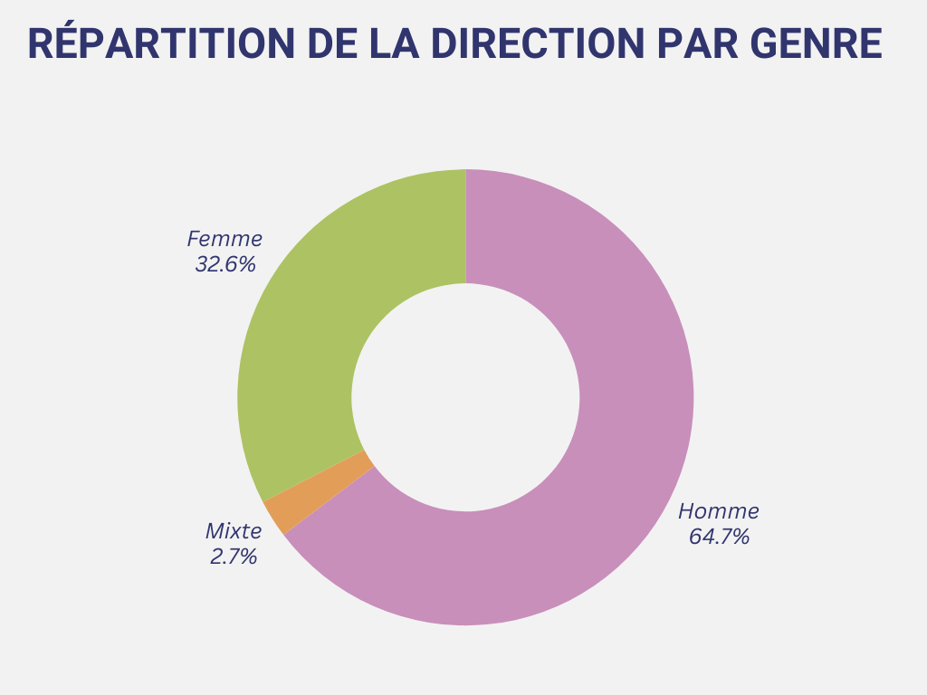 Graphique représentant la répartition du genre des dirigeants des sociétés