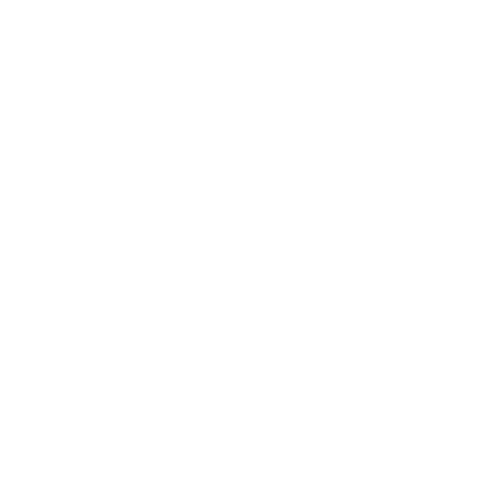 Dessin d'une fleur en blanc sur fond gris