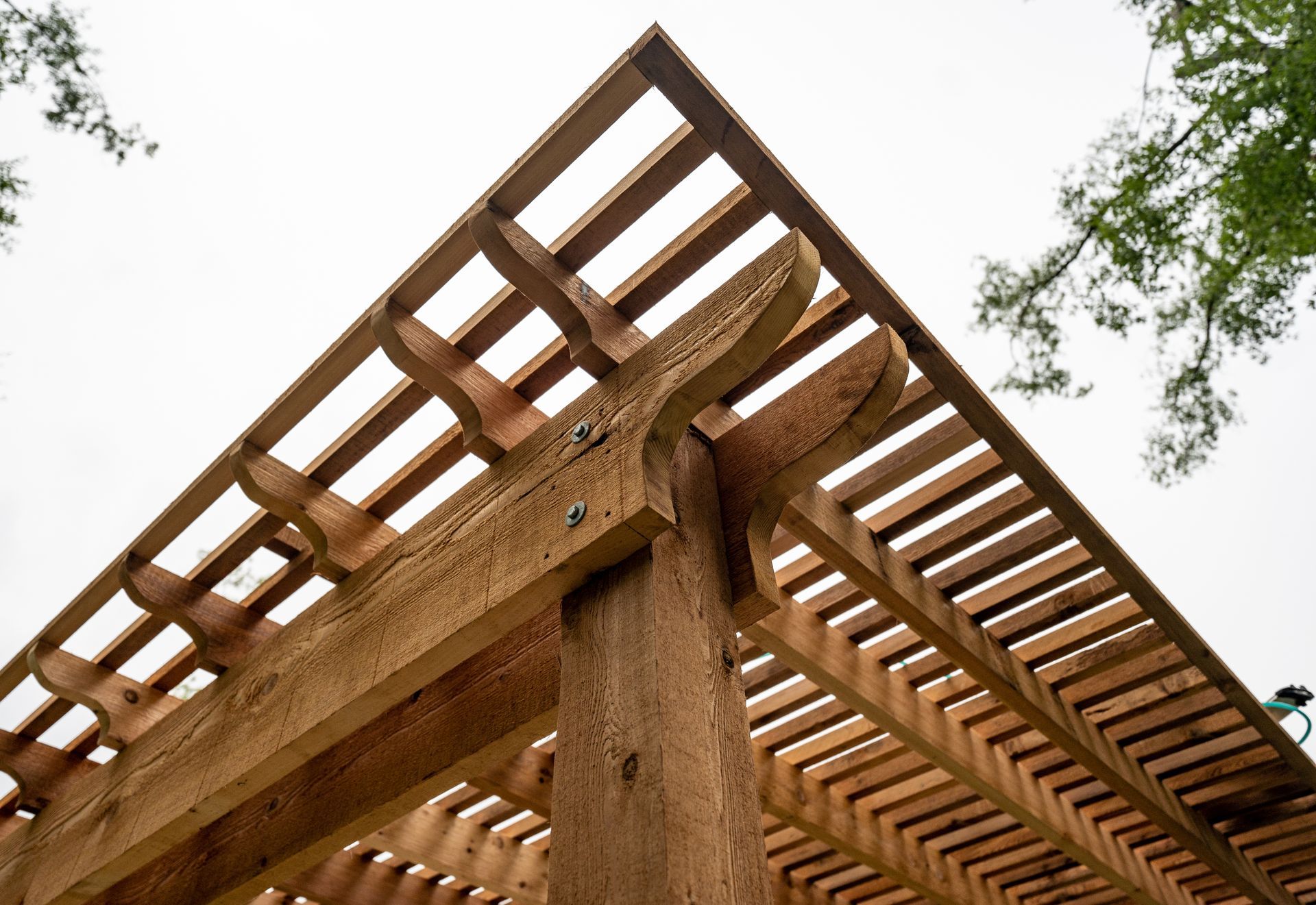 Photo d'une pergola en bois en contreplongée