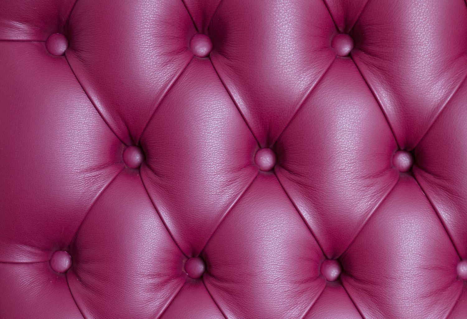 WohnHandWerk Stocker GmbH