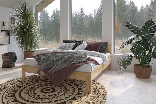 Ein Schlafzimmer mit Bett, Teppich, Pflanze und Fenster.