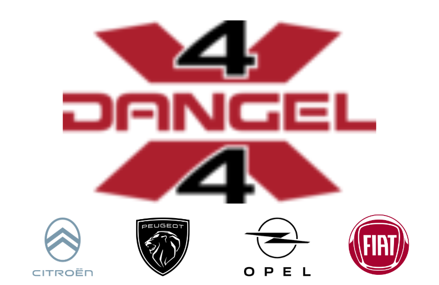 Logo Dangel