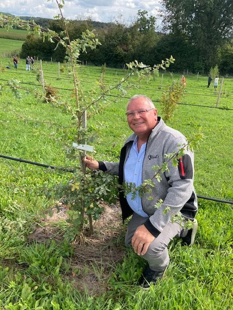 Mein Trüffelbäumchen
