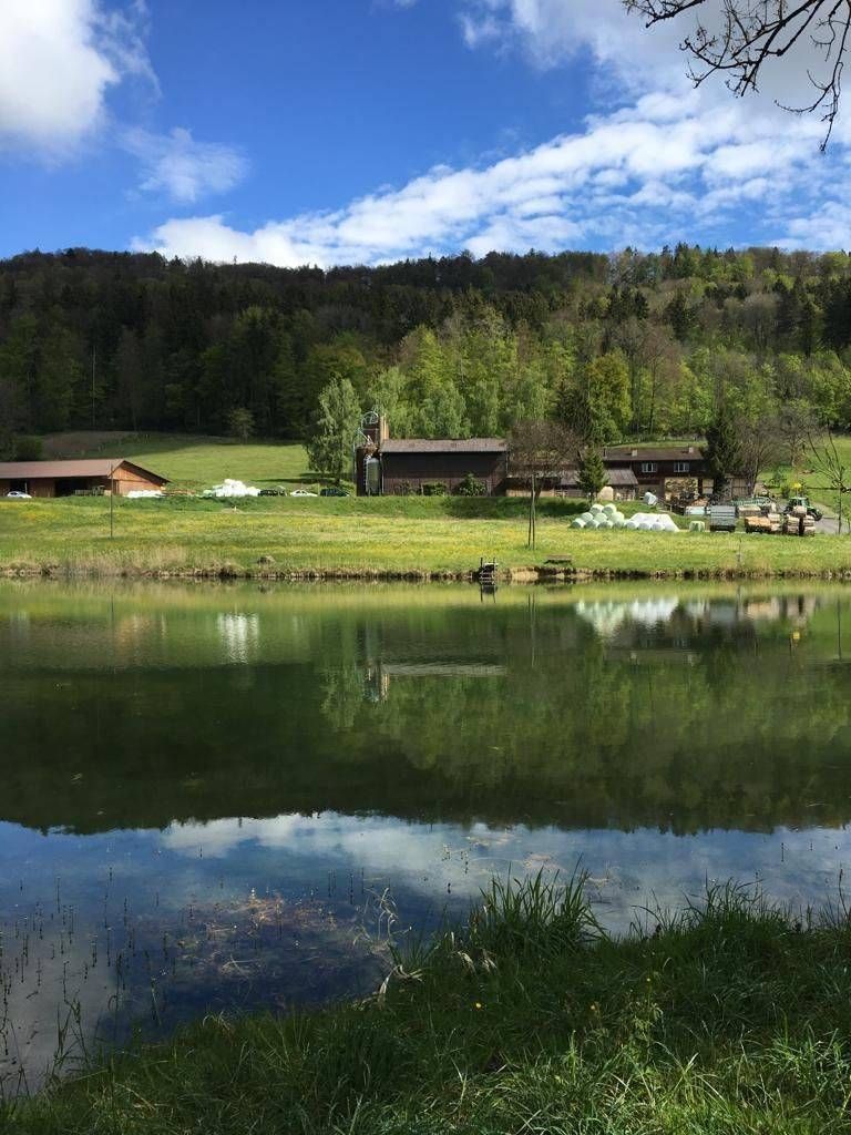 Ein Teich spiegelt den blauen Himmel, Bäume und Gebäude auf einem grasbewachsenen Hügel wider.