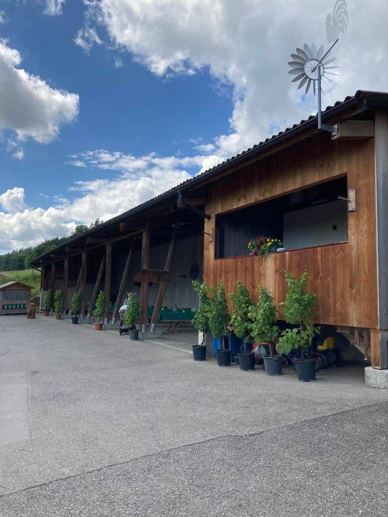 Eine hölzerne Scheune mit einer Reihe von Topfpflanzen und einer kleinen Windmühle auf dem Dach unter blauem Himmel.