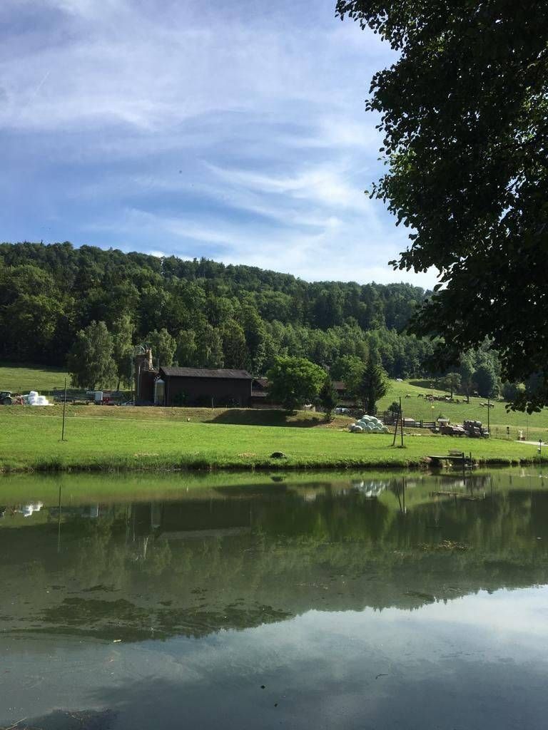 Unter einem bewölkten blauen Himmel spiegeln sich ein Gebäude und ein bewaldeter Hügel in einem See.
