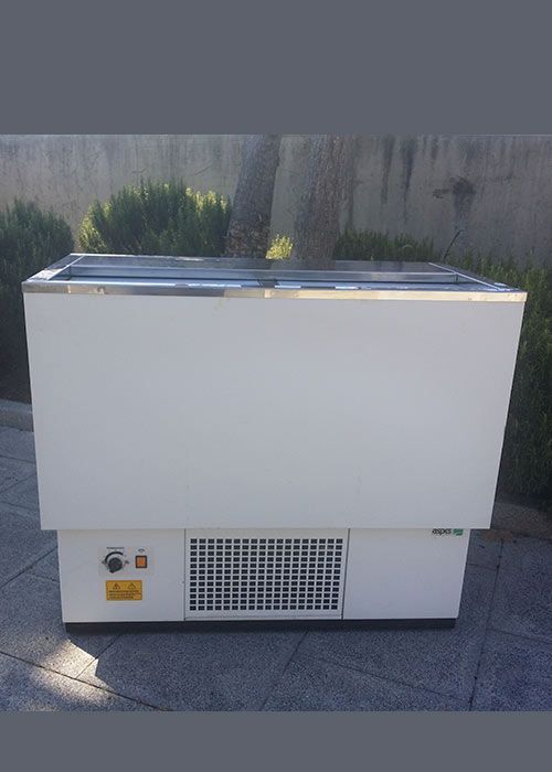 Un congelador blanco está en una acera al lado de un arbusto.