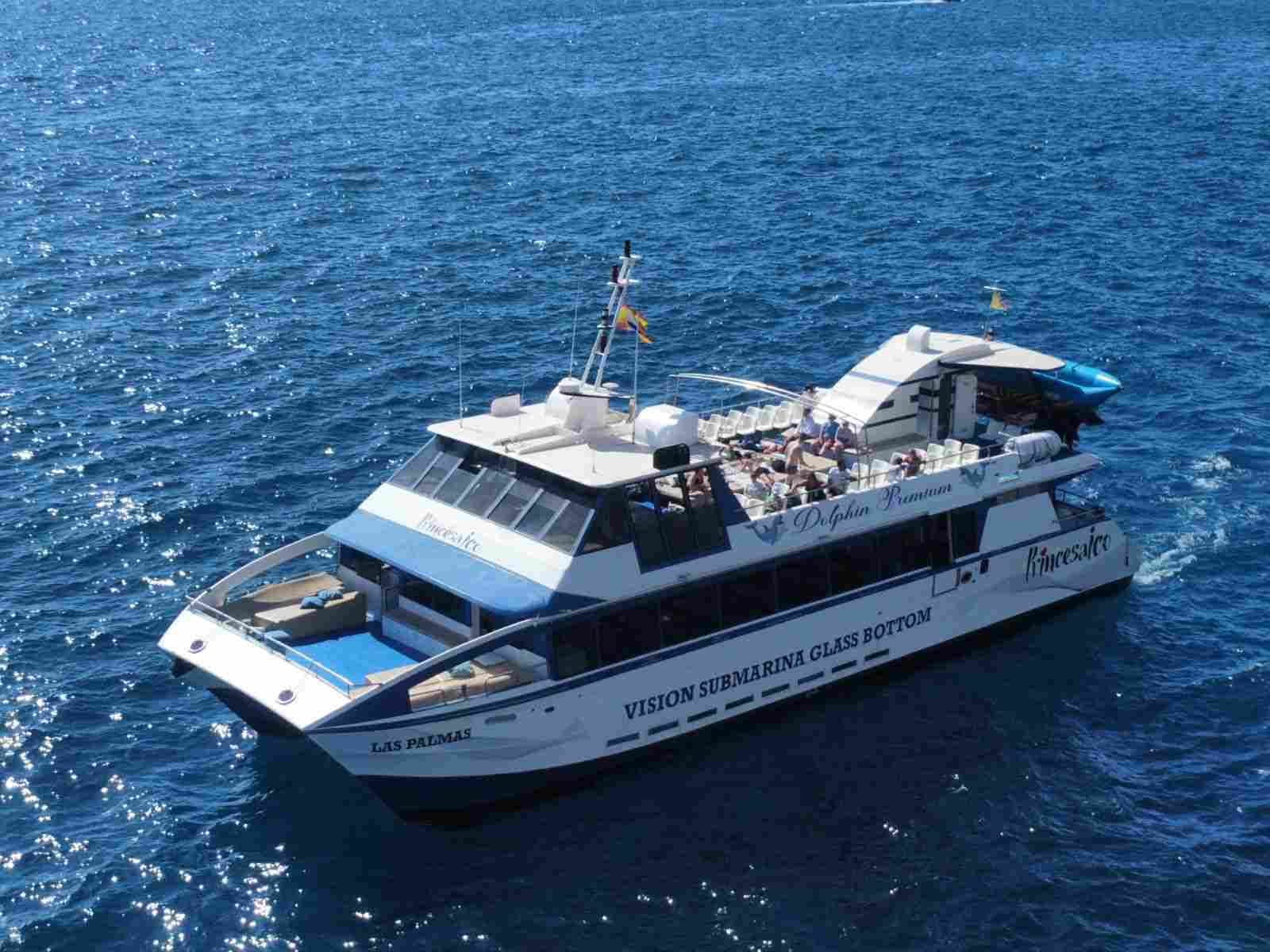 Barco llamado "Dolphin Cruises" en aguas azules del océano, con pasajeros a bordo, día soleado.